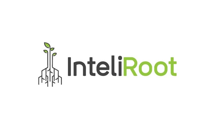 InteliRoot.com - buying Great premium names